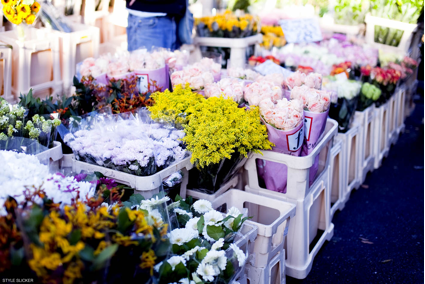 Columbia Road Flower Market