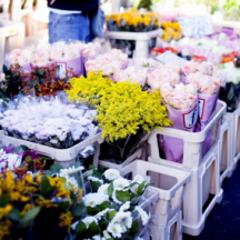 Columbia Road Flower Market